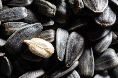 ayçiçeği tohumu dokusuna