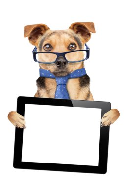 İzole komik köpek gözlük kravat tablet boş ekran