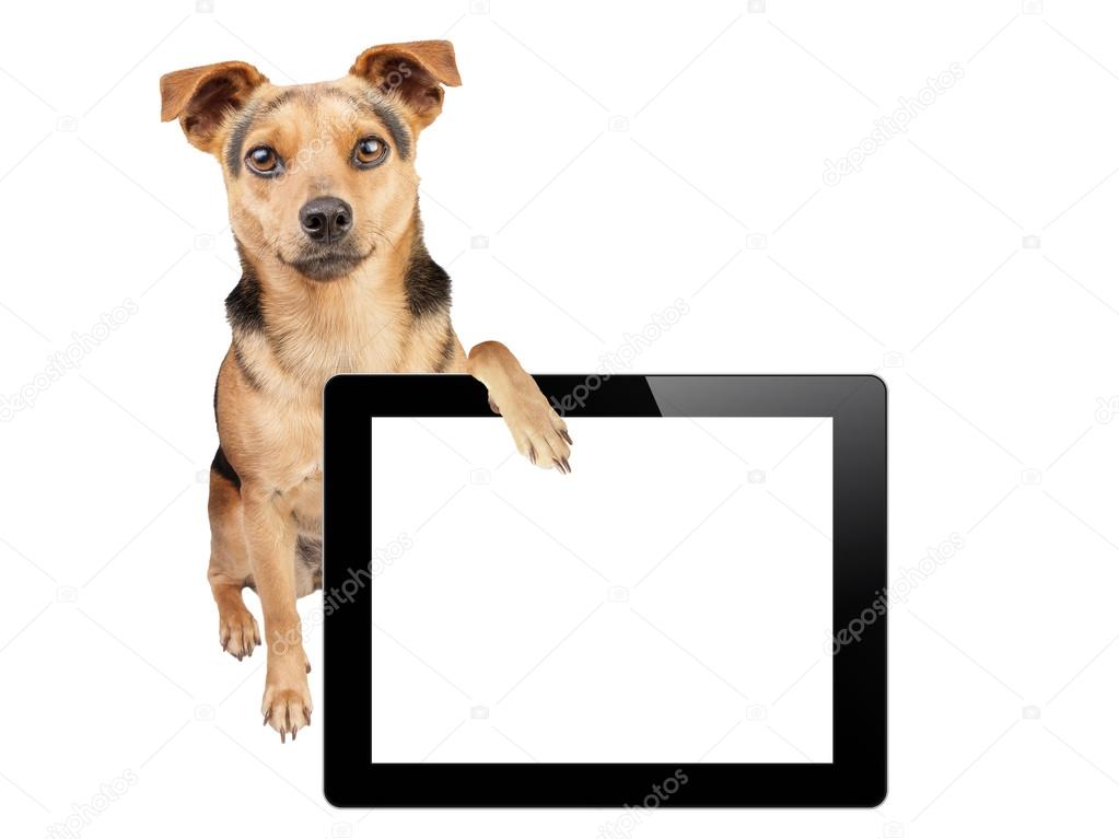 Dog paw tablet blank screen isolated