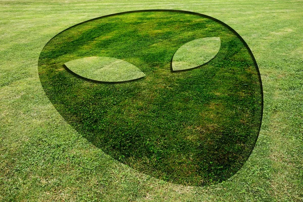 Alien face fake crop circle meadow
