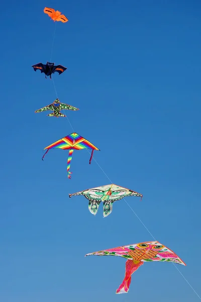 Set of kites flying over clear blue sky — Stock Photo, Image