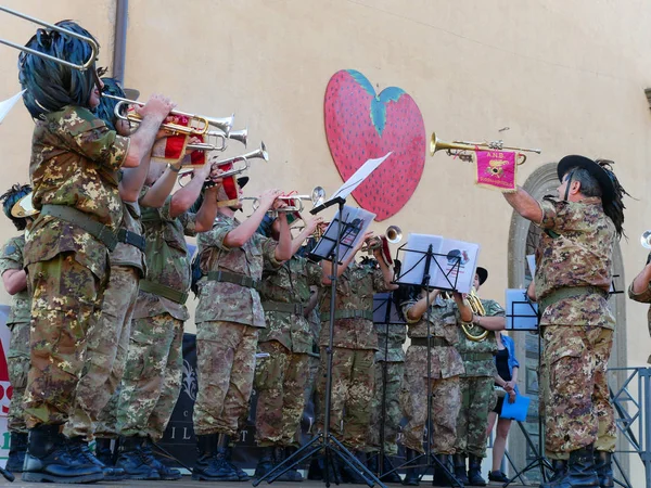 Music orchestra military performing festival of strawberry — Stock Photo, Image