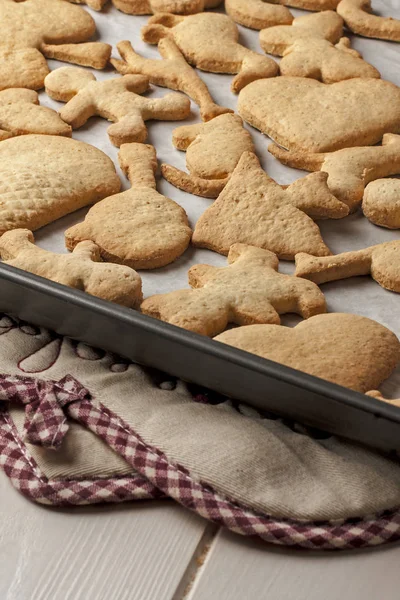 Galletas caseras galletas bandeja para hornear Pot Holder — Foto de Stock