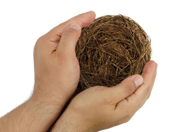 Bovenaanzicht van mannelijke hand hebt leeg nest geïsoleerd — Stockfoto