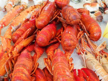 Kabuklu deniz ürünleri portre