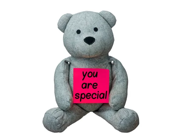 Teddybär Sie sind spezielle Nachricht isoliert — Stockfoto