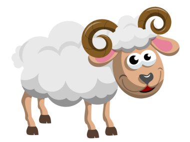 izole bighorn erkek koyun 