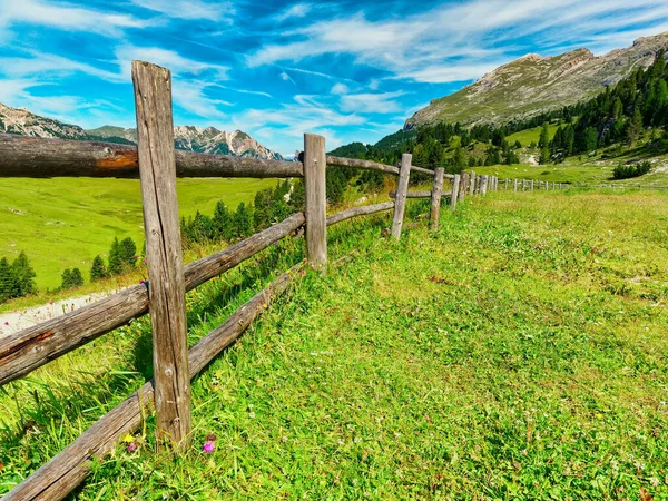 Cerca de madeira em um campo na montanha no verão — Fotografia de Stock