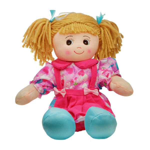Sit cute smiling pretty rag doll isolated on white