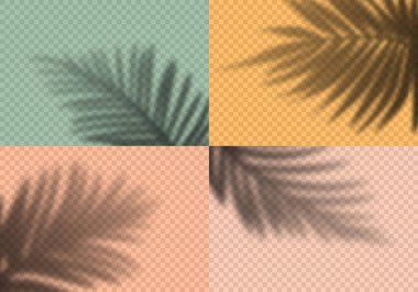 Palm Leaves 'in Şeffaf Gölgeleri. Kolaj için dekoratif tasarım elementleri. Yaratıcı Kaplama Efekti