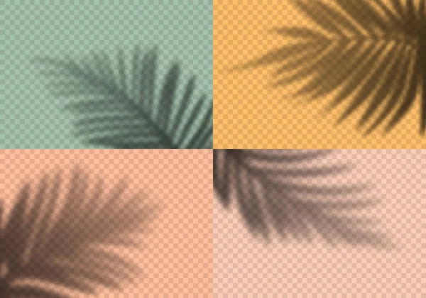 Vektor-Set aus transparenten Schatten von Palmblättern. Dekorative Designelemente für Collagen. Kreativer Overlay-Effekt Vektorgrafiken