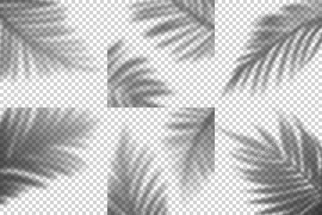 Vector Transparent Shadows of Palm Leaves. Decorative Design Elements Set for Collages and Mockups