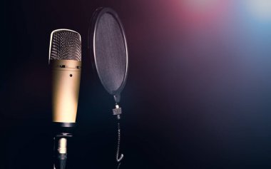 Profesyonel kondansatör mikrofon ile pop filtre