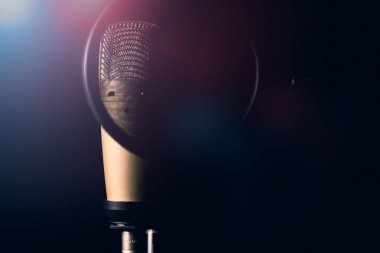 Profesyonel kondansatör mikrofon ile pop filtre
