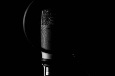 Profesyonel kondansatör mikrofon ile pop filtre