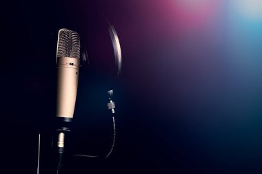 Profesyonel kondansatör mikrofon ile pop filtre