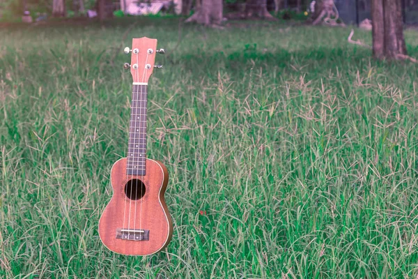 Lewitacja ukulele — Zdjęcie stockowe