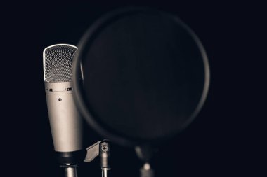 Profesyonel kondansatör mikrofon ile pop filtre