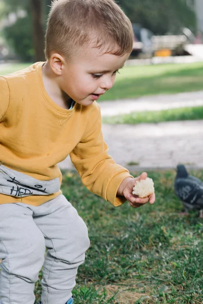 Çocuk güvercinleri besliyor. — Stok fotoğraf