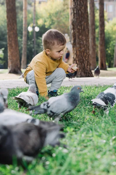 Chłopiec karmi gołębie — Zdjęcie stockowe