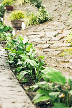 Eski tuğla patikanın Bahçe