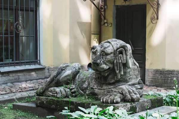 Stone Lion or dog Statue. — Stock Photo, Image