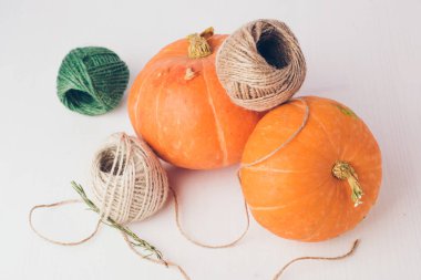 beyaz zemin üzerine iki mini kabaklar.