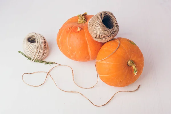 Dos mini calabazas sobre fondo blanco . — Foto de Stock