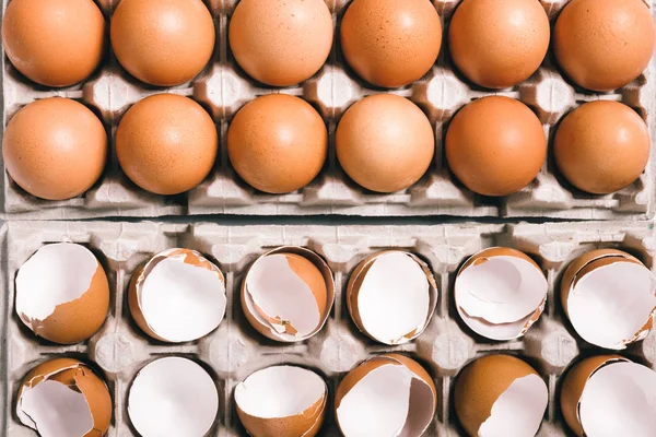 Yumurta kabukları yumurta kutusunda. — Stok fotoğraf