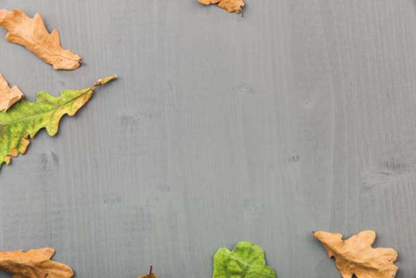 Дубовые листья на деревянном сером фоне . — стоковое видео