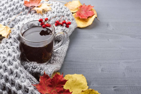 Fincan çay ve gri kareli.