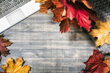 Sarı ve kırmızı akçaağaç yaprakları ile çalışma alanı. 