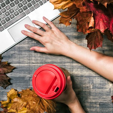 Sarı ve kırmızı akçaağaç yaprakları ile çalışma alanı. 