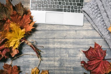 Sarı ve kırmızı akçaağaç yaprakları ile çalışma alanı. 