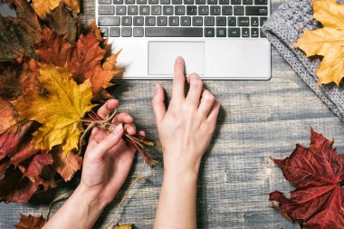 Sarı ve kırmızı akçaağaç yaprakları ile çalışma alanı. 