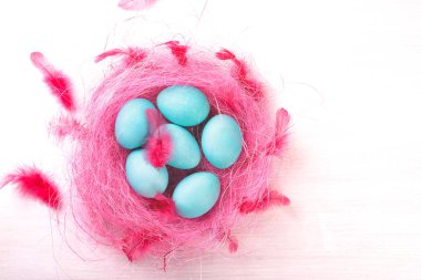 Pembe bir yuvadaki yumurta.