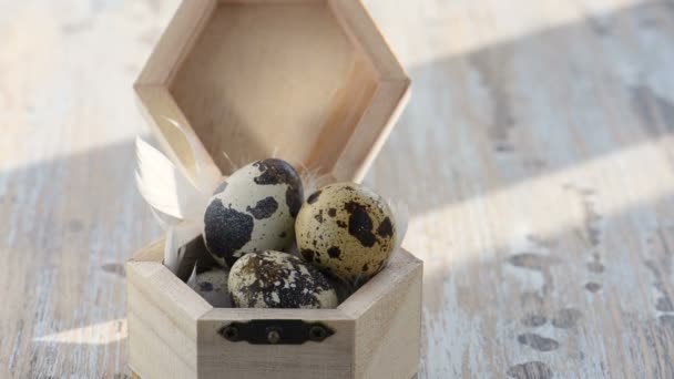 Easter Quail Eggs Wooden Box Feathers Fall Table Motion Easter — Stock Video