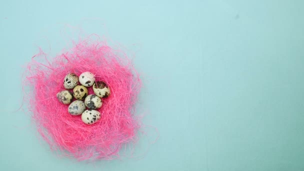 Easter Quail Eggs Pink Nest Blue Background Feathers Fall Table — Stock Video