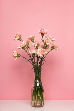 Beyaz masanın üzerinde pembe karanfil çiçeği olan bir vazo. Pastel gül arkaplanı, metin için alanı kopyala