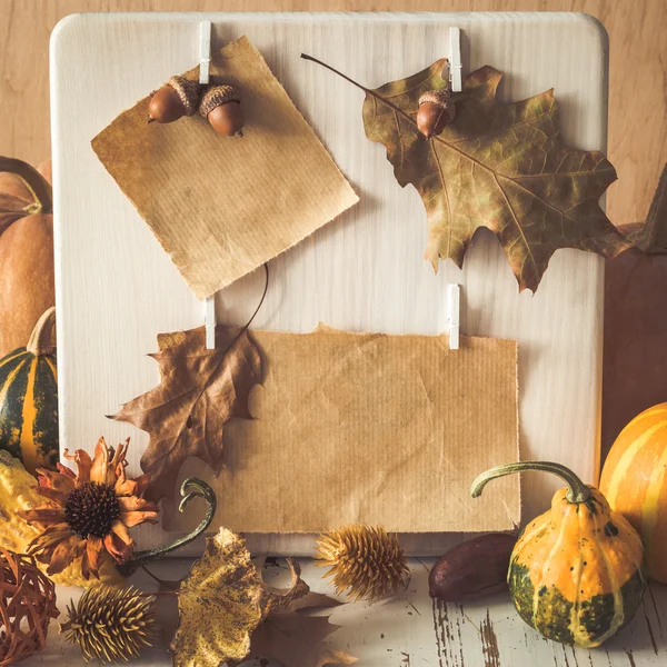 Papier frame versierd met herfst bladeren, pompoenen — Stockfoto