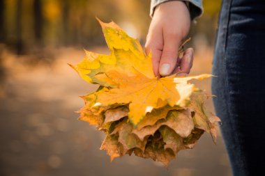eller erkek holding sonbahar yaprakları