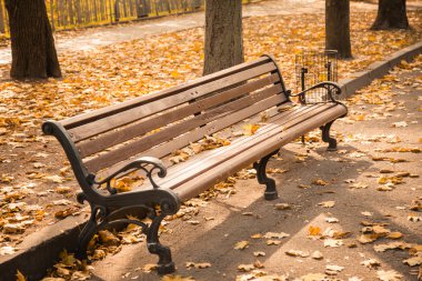 Benh yaprakları ile sonbahar Park