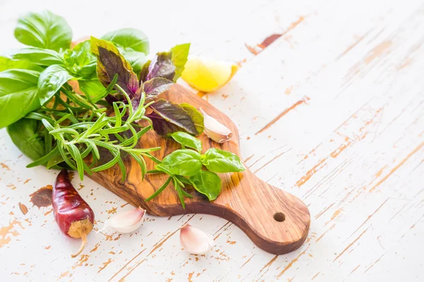 Selection of fresh herbs and spices — Stock fotografie