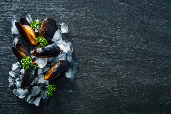 Mussels and ingredients — Stock Photo, Image