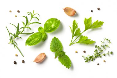 Selectionof herbs and spices, isolated clipart