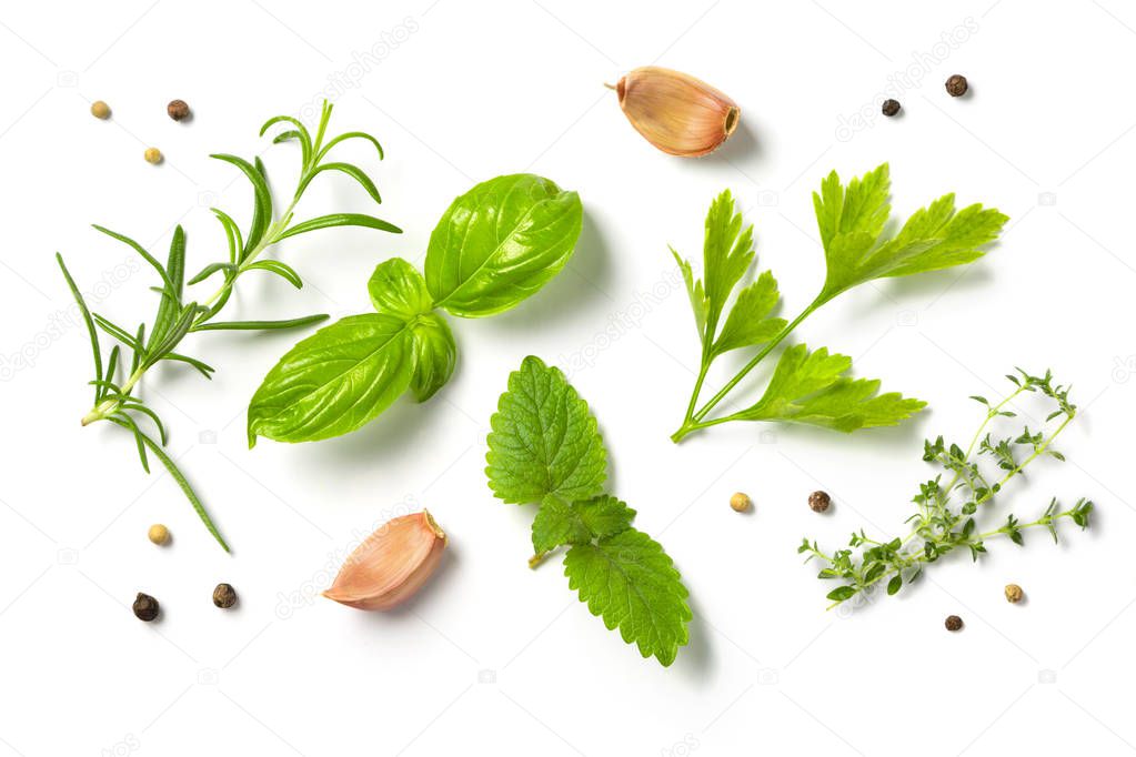 Selectionof herbs and spices, isolated