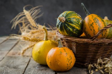 Şükran günü kavramı - süslemeleri ile kabak