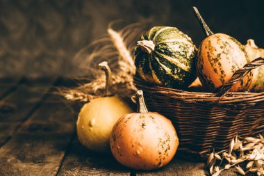 Şükran günü kavramı - süslemeleri ile kabak