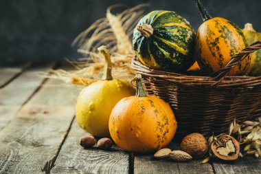 Şükran günü kavramı - süslemeleri ile kabak