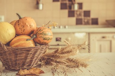 Şükran günü kavramı - süslemeleri ile kabak